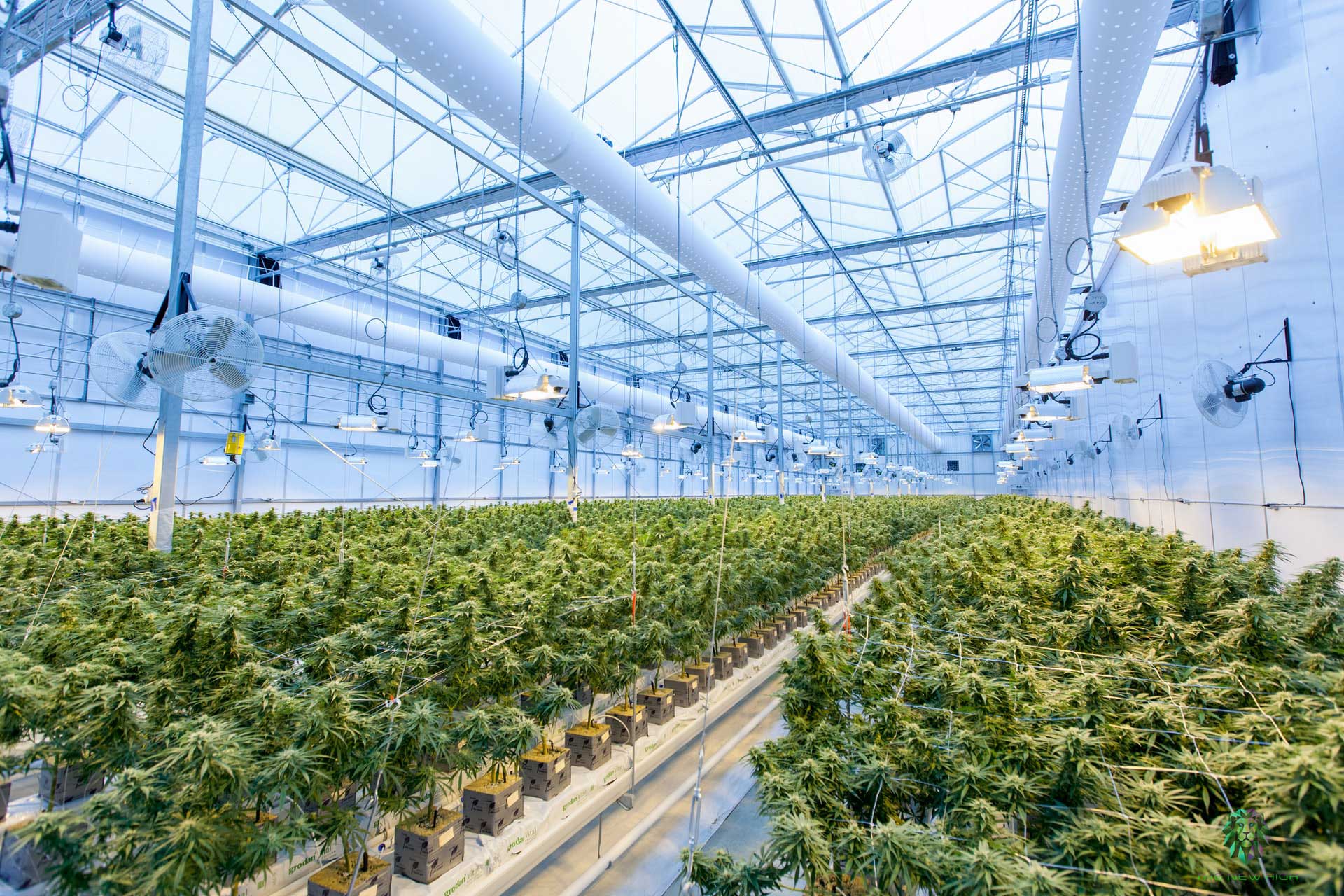 horticulture-greenhouse-hero-background